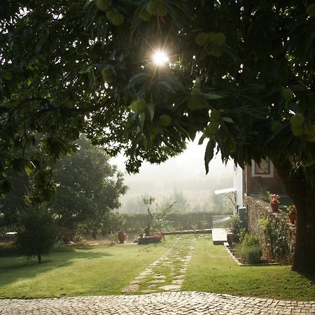 Vila Dos Castanheiros Ferreira do Zêzere Екстериор снимка