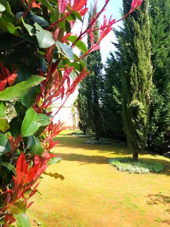 Vila Dos Castanheiros Ferreira do Zêzere Екстериор снимка