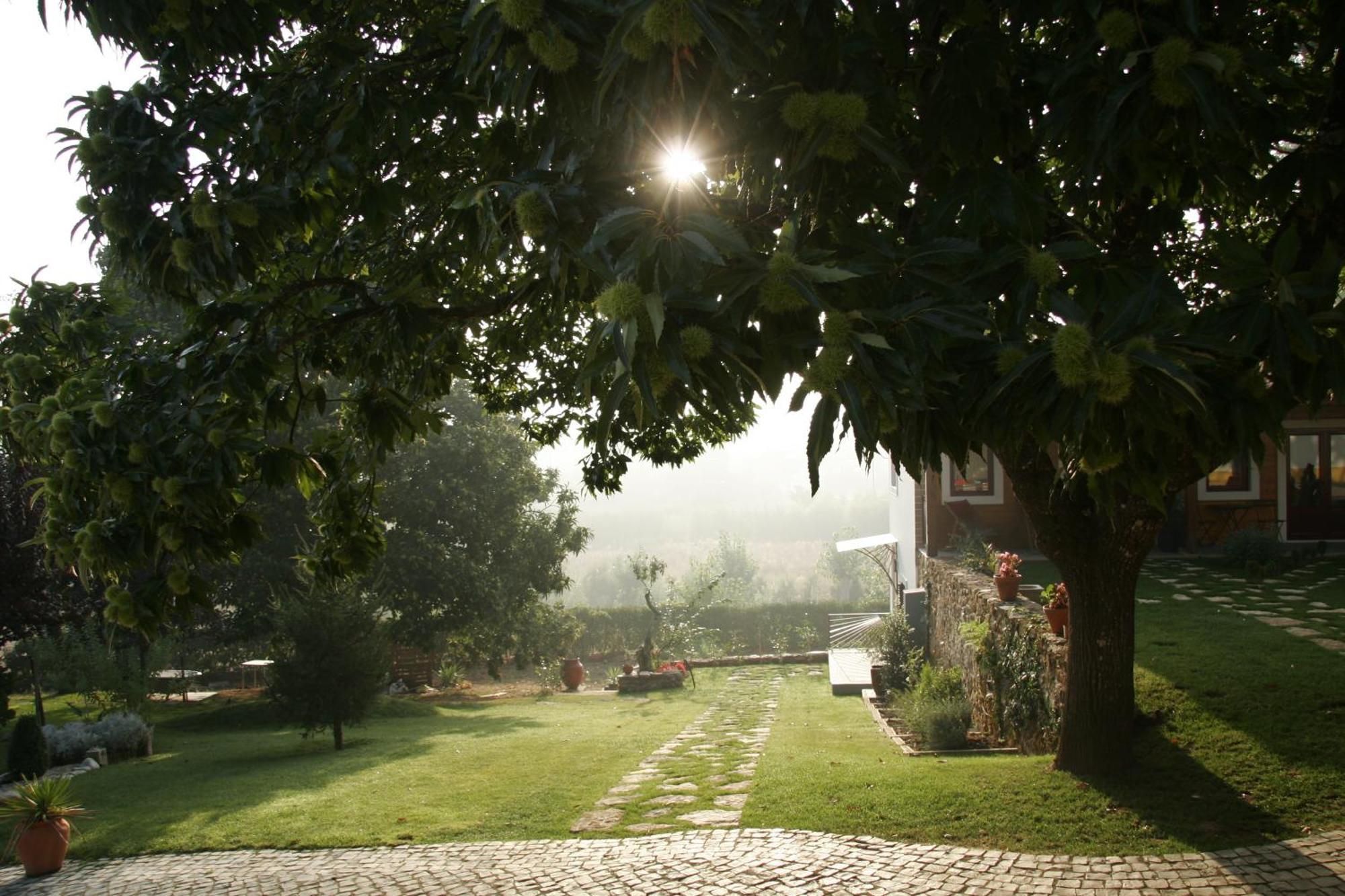 Vila Dos Castanheiros Ferreira do Zêzere Екстериор снимка